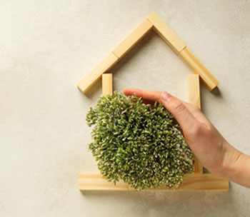 The Evolution of Sustainable Building Materials in Residential Construction